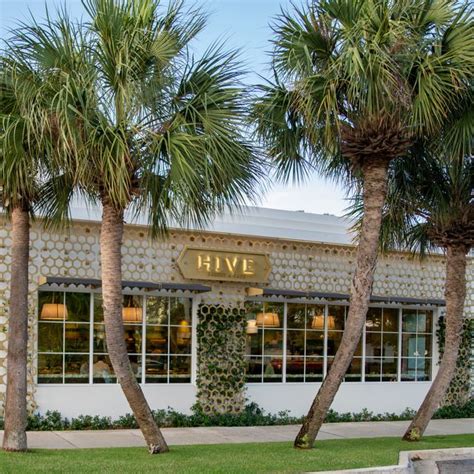 hive restaurant west palm beach|More.